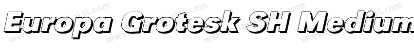 Europa Grotesk SH Medium字体转换